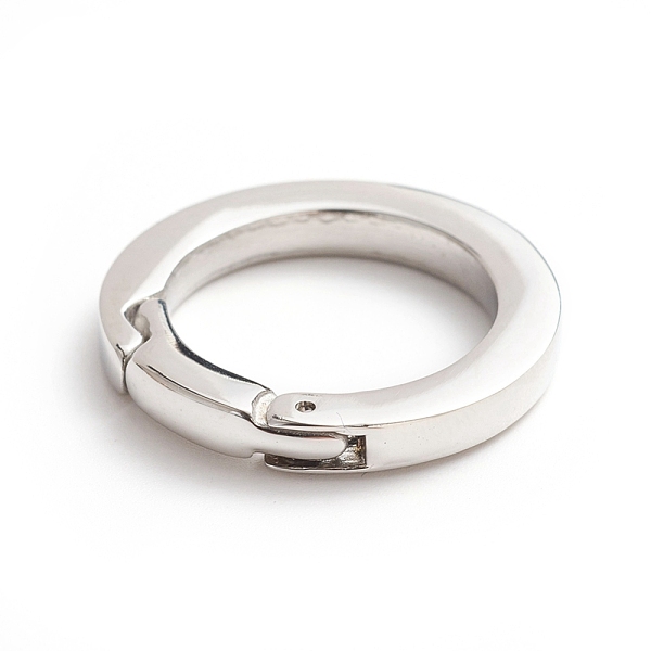 

PandaHall 304 Stainless Steel Spring Gate Rings, O Rings, Stainless Steel Color, 24x3.5mm, Inner Diameter: 17mm 304 Stainless Steel
