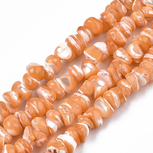 

PandaHall Natural Freshwater Shell Beads Strands, Dyed, Nuggets Chips, Sandy Brown, 2.5~5.5x6~17.5x5~8mm, Hole: 0.8mm, about...