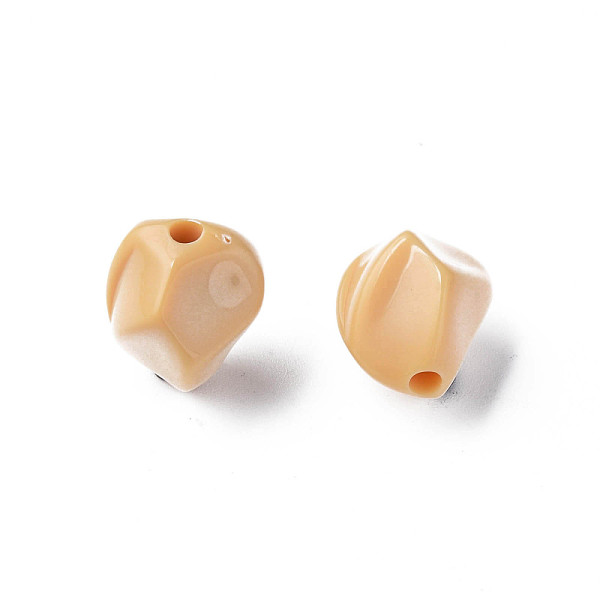 

PandaHall Opaque Acrylic Beads, Nuggets, BurlyWood, 16.5x15x13.5mm, Hole: 2.5mm, about 340pcs/500g Acrylic Nuggets Orange