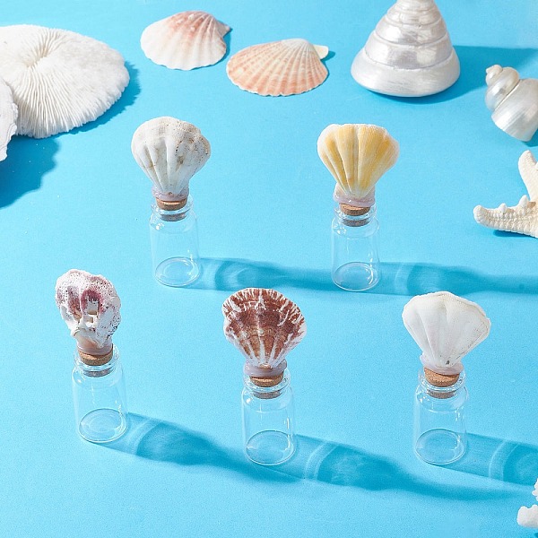 Natural Scallop She… - image