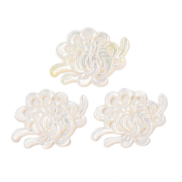 Natural White Shell… - image