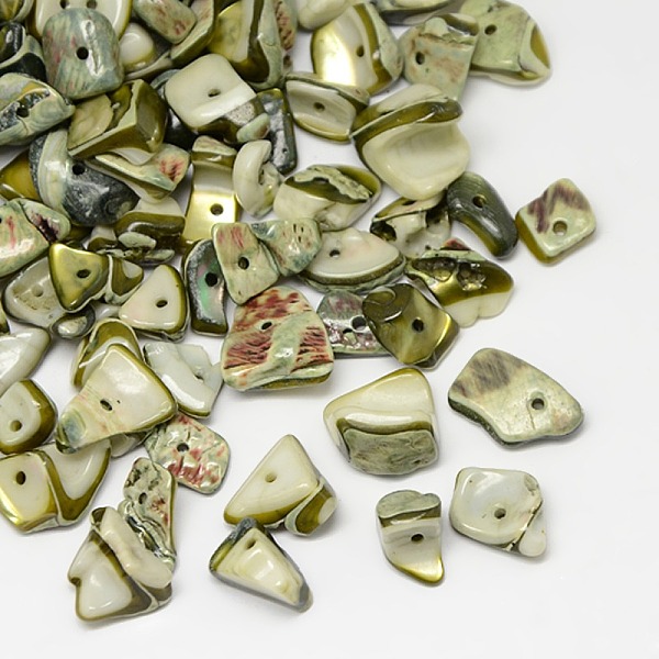 

PandaHall Dyed Natural Freshwater Shell Chips Beads, Shell Shards, Olive, 9~12x6~15mm, Hole: 1mm, about 900pcs/500g Freshwater Shell Chip..., Green