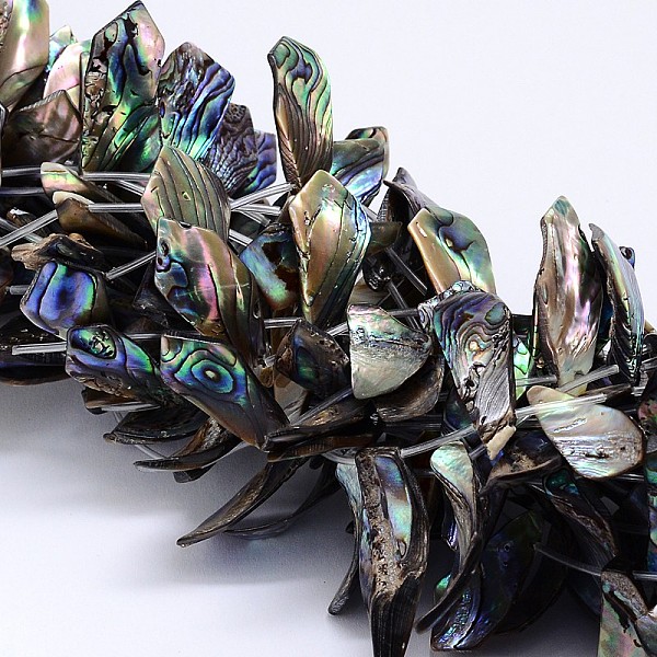 Natural Paua Shell … - image