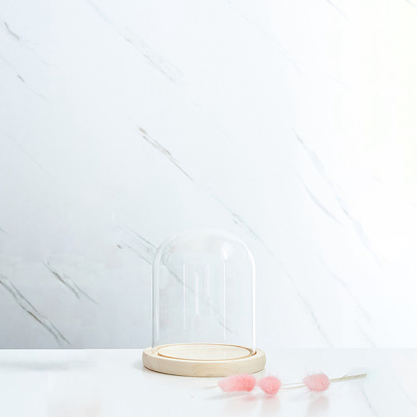Glass Dome Cover - image