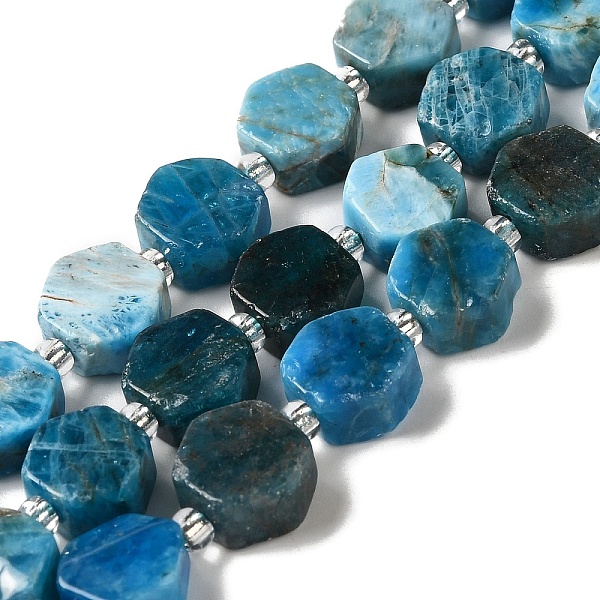 

PandaHall Natural Apatite Beads Strands, Hexagon, with Seed Beads, 8.5~9x8.5~10x4~5mm, Hole: 1mm, about 37~38pcs/strand, 15.55''~15.75''...