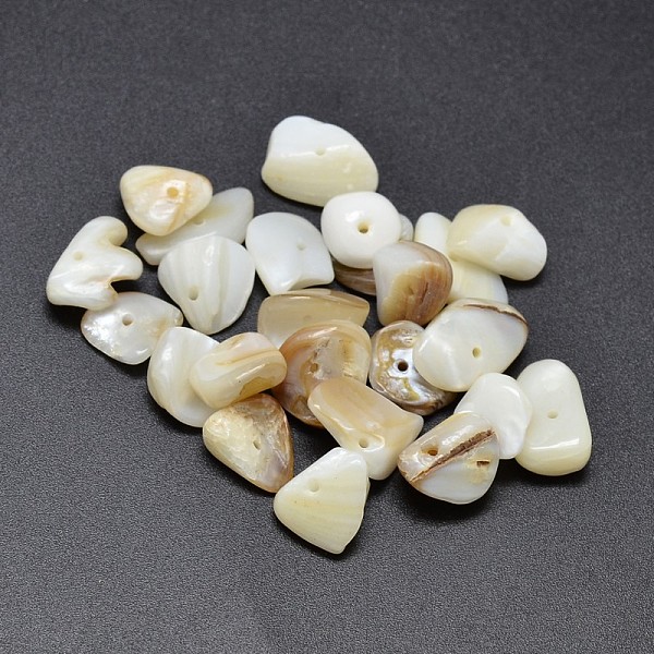

PandaHall Natural Freshwater Shell Nuggets Chips Beads, PapayaWhip, 6~20x9~10mm, Hole: 1mm, about 400pcs/500g Freshwater Shell Chip Orange