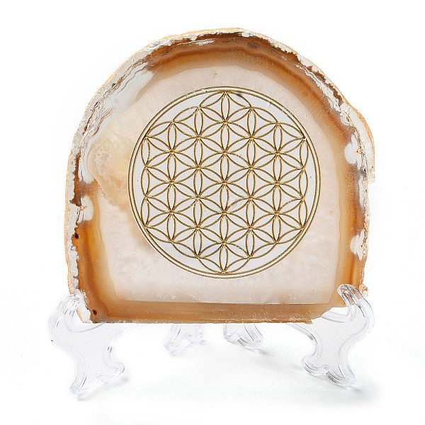 

PandaHall Printed Natural Agate Slice Stone Ornament, for Good Luck Home Office Decor, Flat Round, 100~125x105~150x7.5~8mm Natural Agate..., Multicolor