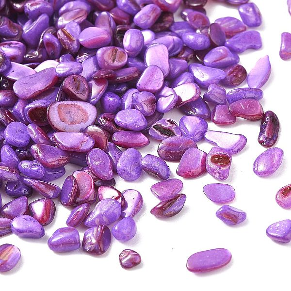 

PandaHall Shell Beads, No Hole Beads, Dyed, Chip, Medium Purple, 4.5~9.5x3~6x1.5~3.5mm Freshwater Shell Chip