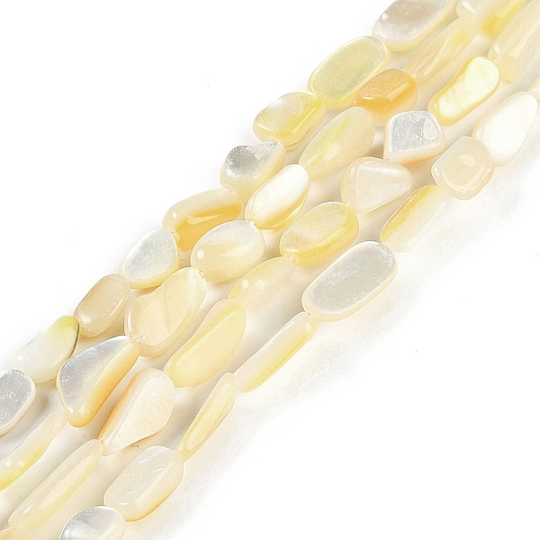 Brins de perles de coquillages naturels de troca