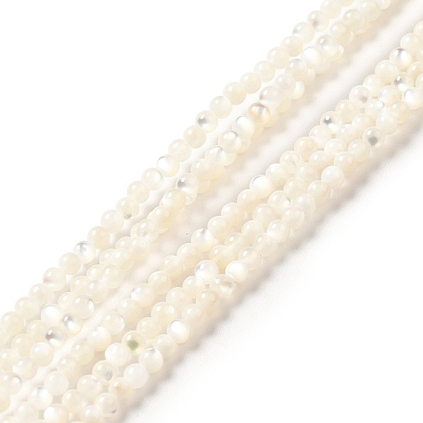 

PandaHall Natural White Shell Beads Strands, Round, White, 2mm, Hole: 0.5mm, about 199pcs/strand, 15.55 inch(39.5cm) White Shell Round White