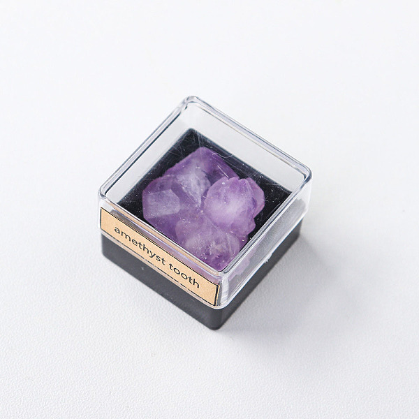 

PandaHall Reiki Raw Natural Amethyst Tooth Nuggets Specime in Square Plastic Box, for Home Display Decoration, 19~29x15~22x12~16mm Amethyst...