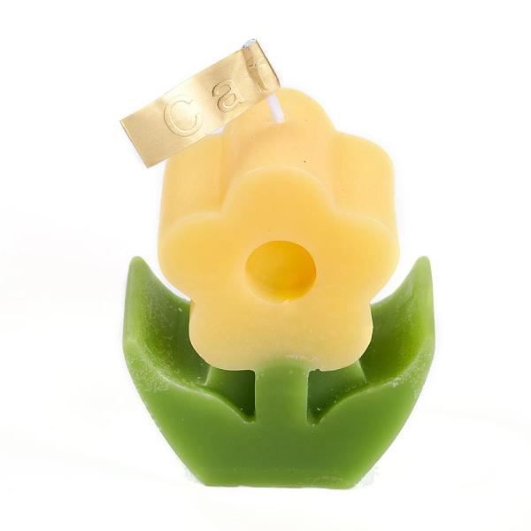 PandaHall Flower Shaped Aromatherapy Smokeless Candles, with Box, for Wedding, Party, Votives, Oil Burners and Christmas Decorations, Bisque...