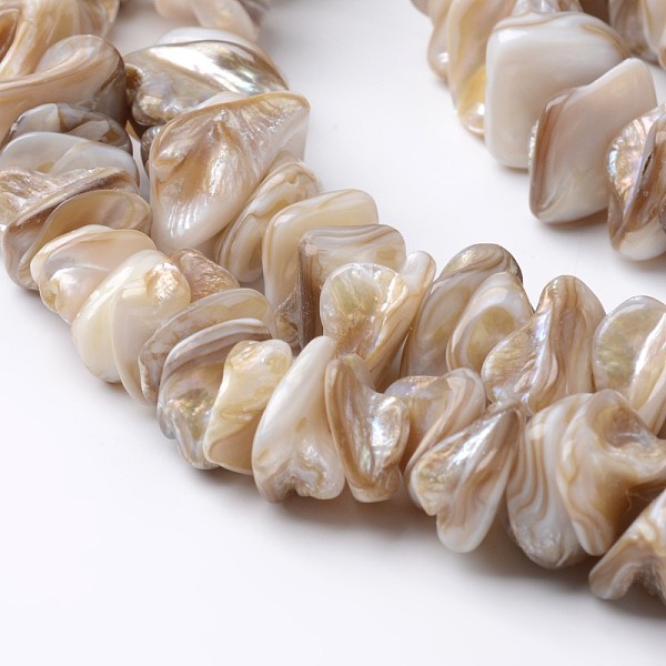 

PandaHall Natural Freshwater Shell Bead Strands, Tan, 10~25x10~25x3~10mm, Hole: 1mm, about 62pcs/strand, 15.4 inch Freshwater Shell Shell..., Orange