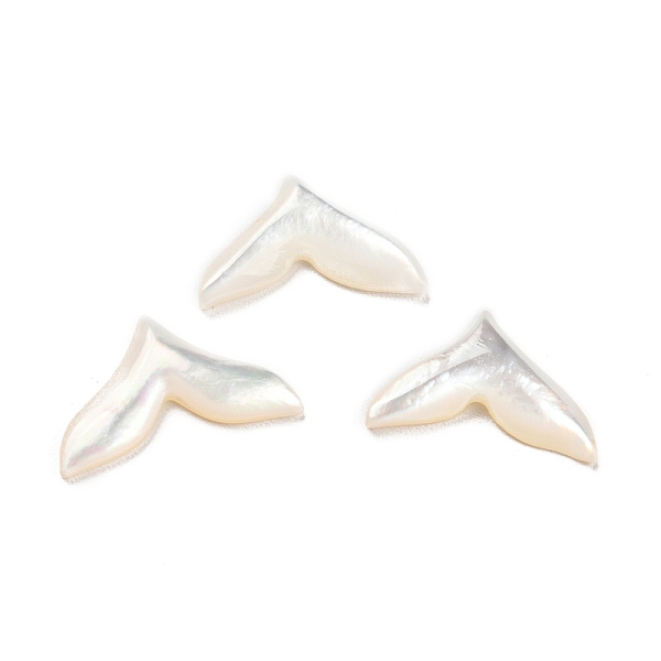 

PandaHall Natural Sea Shell Cabochons, Fish Tail, White, 8.5x13.5x2mm Sea Shell Fish White