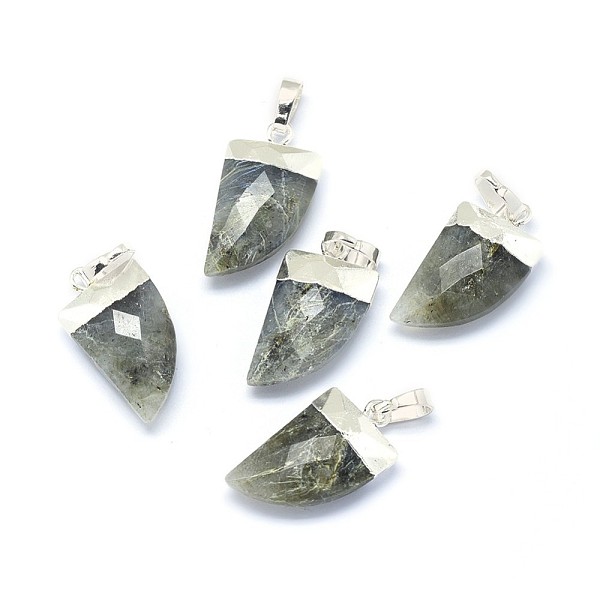 

PandaHall Natural Labradorite Pendants, with Long-Lasting Plated Brass Findings, Faceted, Scabbard, Silver Color Plated, 19.5x11x5mm, Hole...