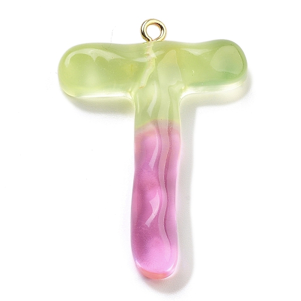Resin Pendant - image