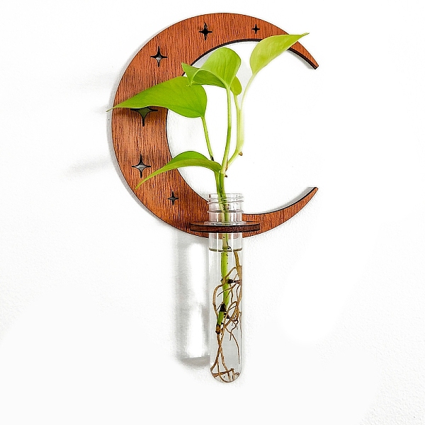 Plant Propagation S… - image