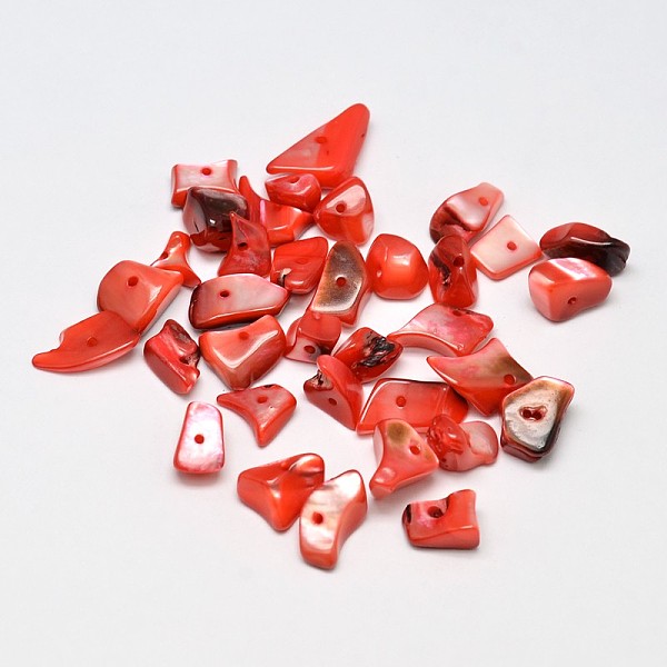 

PandaHall Dyed Natural Shell Nuggets Chips Beads, Orange Red, 11~16x6~9mm, Hole: 1mm, about 980pcs/500g Other Sea Shell Chip Red