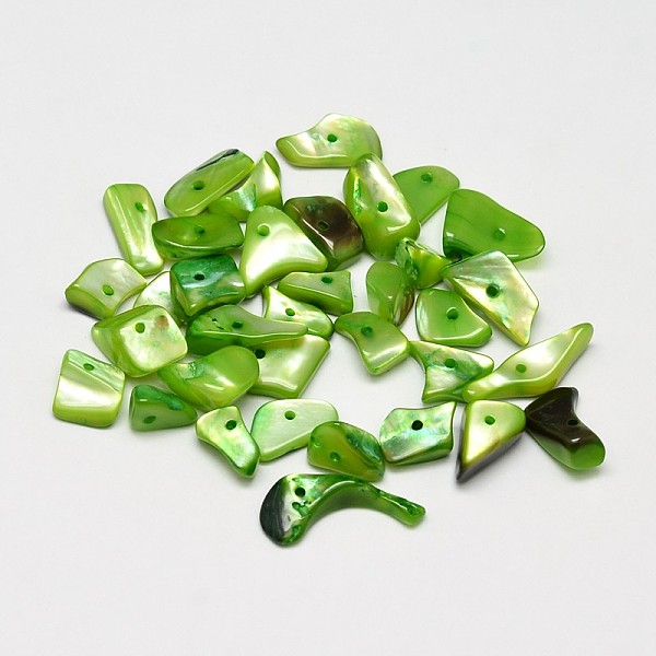 

PandaHall Dyed Natural Shell Nuggets Chips Beads, Lime Green, 11~16x6~9mm, Hole: 1mm, about 980pcs/500g Other Sea Shell Chip Green