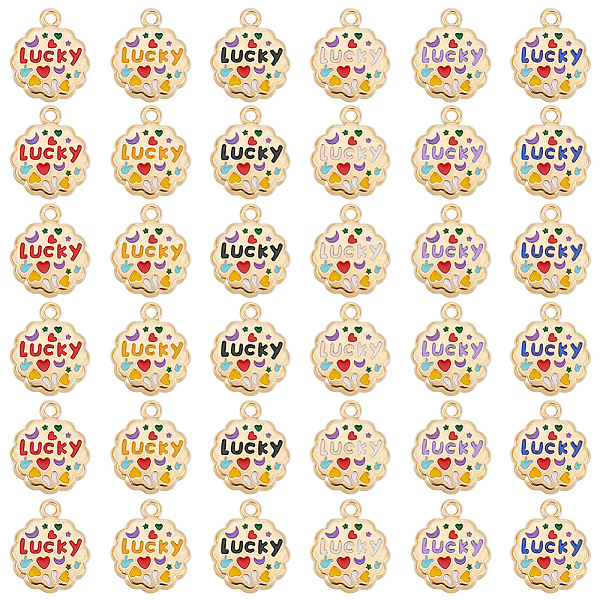 

PandaHall PH 36pcs Golden Lucky Charm 6 Colors Inspirational DIY Charms Lucky Charm Pendants Engraved Motivational Charms for Necklace..., Multicolor