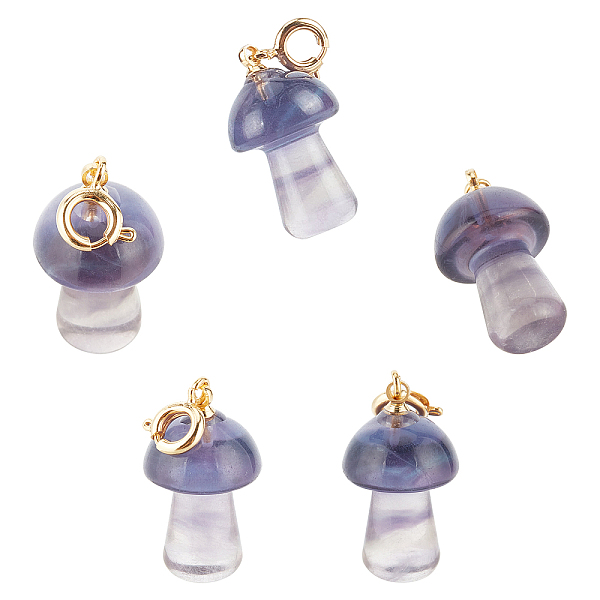 

PandaHall Carved Natural Fluorite Pendants, with Golden Brass Spring Ring Clasps, Long-Lasting Plated, Mushroom, 28mm, Pendant: 20x11.5mm...