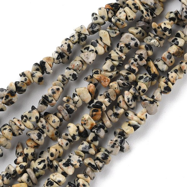 

PandaHall Natural Dalmatian Jasper Beads Strands, Chip, 1.5~4.5x3~13x2.5~8mm, Hole: 0.6mm, 30.94~31.97 inch(78.6~81.2cm) Dalmatian Jasper...