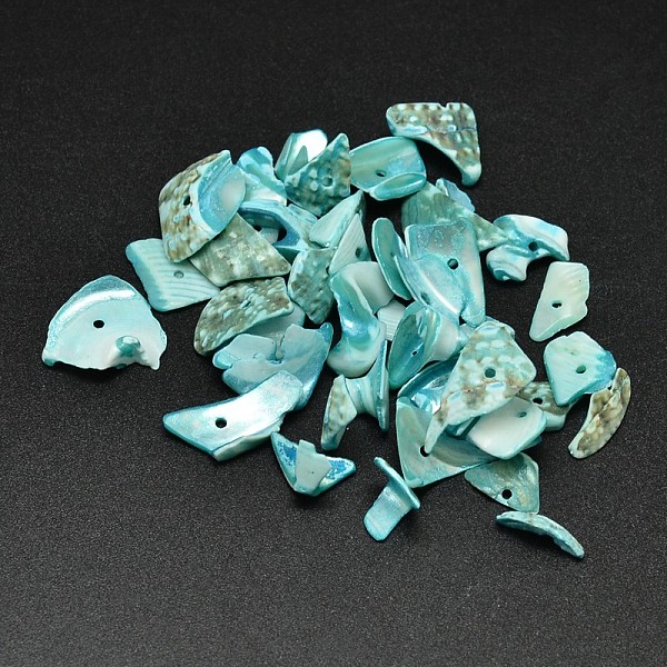 

PandaHall Dyed Natural Shell Nuggets Chips Beads, Medium Turquoise, 9~23x7~12mm, Hole: 1mm, about 1150pcs/500g Other Sea Shell Chip Cyan