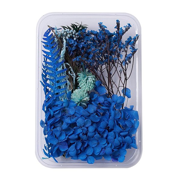 PandaHall Dried Flowers, DIY Candle Soap Making Accessories, with Plastic Rectangle Box, Blue, 2.4~15x1.7~9.7cm Dried Flower Blue