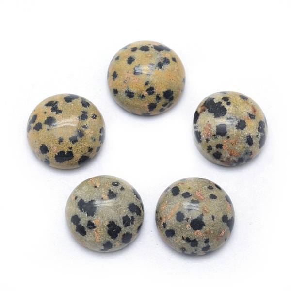 

PandaHall Natural Dalmatian Jasper Cabochons, Half Round, 13.5~14x6~8mm Dalmatian Jasper Half Round