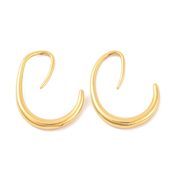 Brass Ear Wire - image