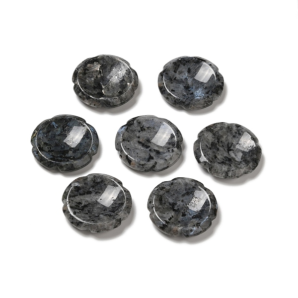 

PandaHall Natural Larvikite Worry Stones, Flower Shape, 37.5~38x38x7~7.5mm Larvikite Flower