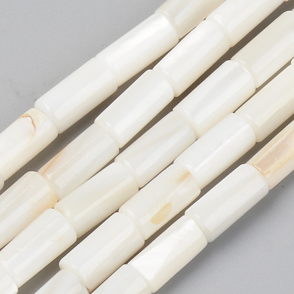 

PandaHall Natural Freshwater Shell Beads Strands, Column, Seashell Color, 8x4mm, Hole: 0.9mm, about 51pcs/Strand, 15.16 inch(38.5cm)...