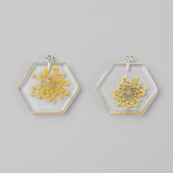 

PandaHall Transparent Clear Resin Pendants, with Dried Flower, Platinum Iron Loop, Hexagon, Yellow, 28x27x4mm, Hole: 1.8mm, 2pcs/bag Resin...
