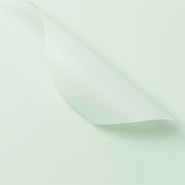 

PandaHall Solid Color Plastic Paper Flower Wrapping Paper, Waterproof Florist Bouquet Paper, DIY Crafts, Honeydew, 550~580x550~580x0.05mm..., Green