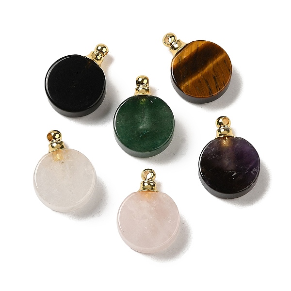 

PandaHall Natural Mixed Gemstone Perfume Bottle Pendants, Flat Round Charms with Golden Plated 304 Stainless Steel Findings, 27.5x20x7~7.5mm...