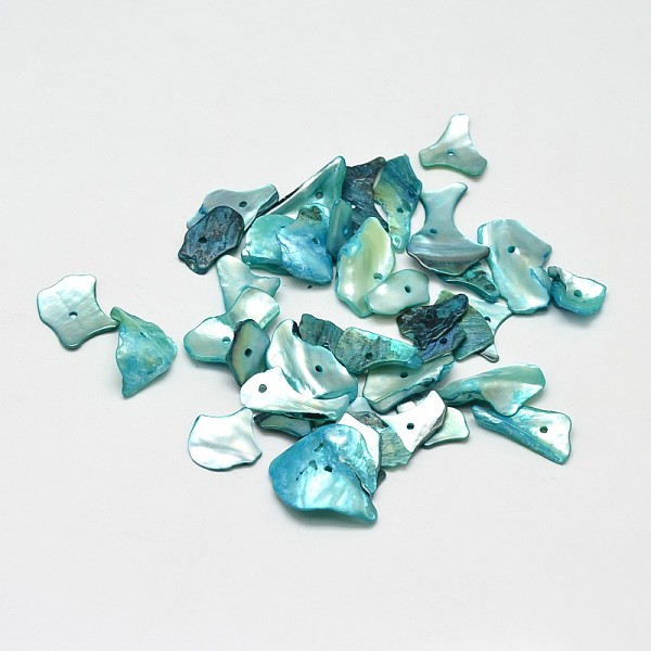

PandaHall Dyed Natural Mother of Pearl Shell Nuggets Chips Beads, Light Sea Green, 5~18x5~11mm, Hole: 2mm, about 1980pcs/500g Other Sea...
