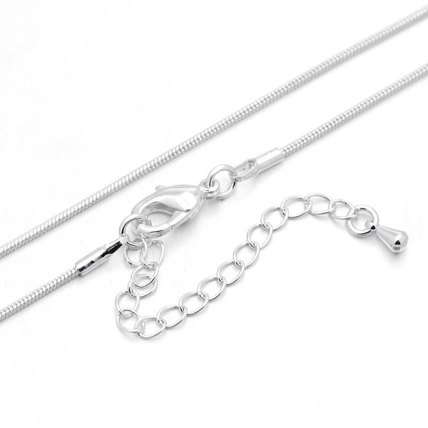 

PandaHall Rack Plating Brass Round Snake Chain Necklaces, with Lobster Claw Clasps and End Chains, Silver Color Plated, 18.11 inch, 1mm...