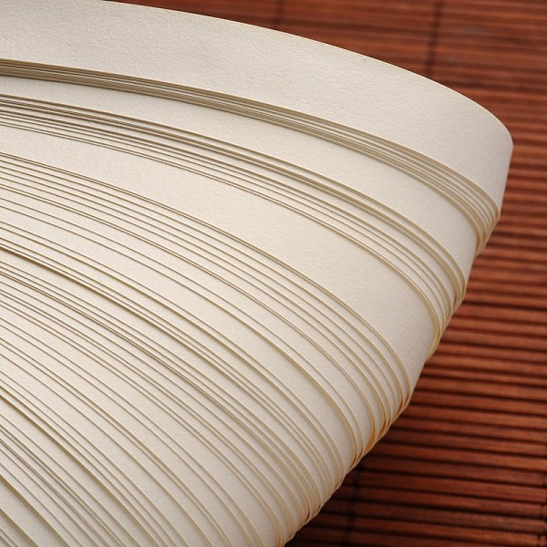 

PandaHall Quilling Paper Strips, Antique White, 530x10mm, about 120strips/bag Paper Orange