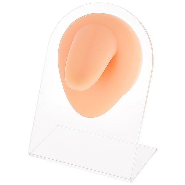 PandaHall Soft Silicone Tongue Flexible Model Body Part Displays with Acrylic Stands, Jewelry Display Teaching Tools for Piercing Suture...