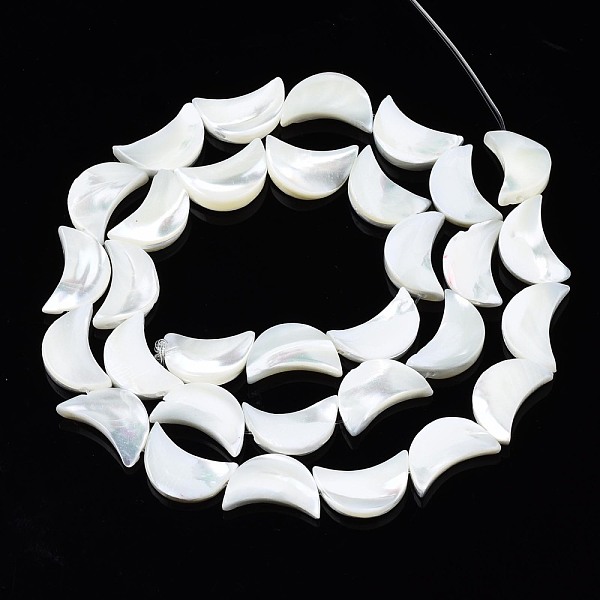 

PandaHall Natural Trochid Shell/Trochus Shell Beads Strands, Bleach, Moon, White, 14x8~9x3mm, Hole: 0.8mm, about 39~32pcs/strand, 15.94...