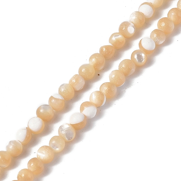

PandaHall Natural Trochid Shell/Trochus Shell Beads Strands, Round, BurlyWood, 2~2.5mm, Hole: 0.7mm, about 175pcs/strand, 15.24 inch(38.7cm)..., Orange