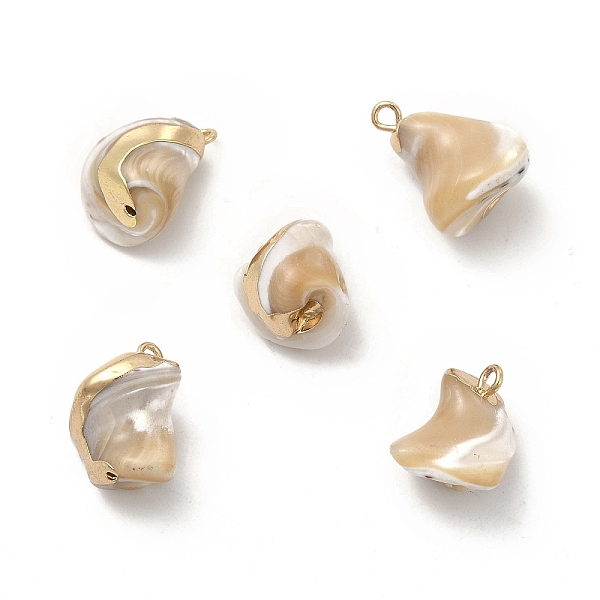 

PandaHall Baroque Natural Trochus Shell Pendants, Nuggets Charms, with Brass Loops, Light Gold, 14~18x12~14x12~14mm, Hole: 1.6~1.8mm Trochus...