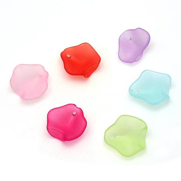 

PandaHall Transparent Acrylic Charms, Frosted, Leaf, Mixed Color, 14.5x14x1mm, Hole: 1.5mm, about 2083pcs/500g Acrylic Leaf Multicolor