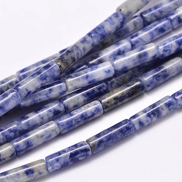

PandaHall Natural Blue Spot Jasper Column Beads Strands, 13~14x4~5mm, Hole: 1mm, about 29pcs/strand, 15.7 inch Blue Spot Jasper Column