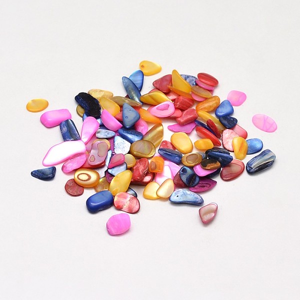 

PandaHall Shell Nuggets Cabochons, Colorful, 5~15x4~10mm, about 3050pcs/500g Freshwater Shell Nuggets