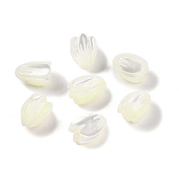 

PandaHall Natural Trochus Shell Flower Beads, Half Drilled, Tulip, WhiteSmoke, 10x7mm, Hole: 0.8mm Trochus Shell Flower White