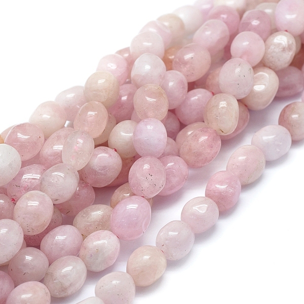 

PandaHall Natural Morganite Beads Strands, Grade A, Drum, Pink, 12~14x9~10mm, Hole: 1mm, about 29~32pcs/strand, 15.94 inch(40.5cm) Morganite...