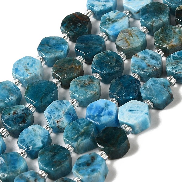 

PandaHall Natural Apatite Beads Strands, Hexagon, with Seed Beads, 8.5~9x8.5~10x4~5mm, Hole: 1mm, about 17~18pcs/strand, 7.48''(19cm)...