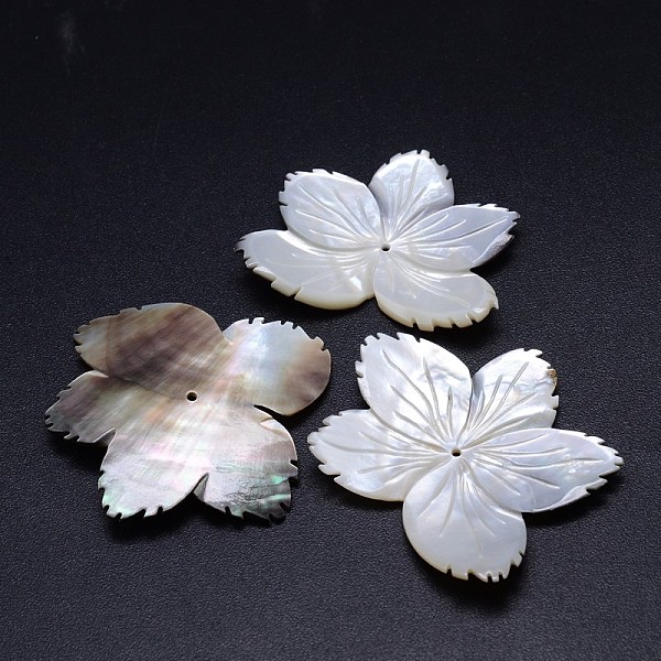 

PandaHall Natural Black Lip Shell Flower Beads, 39~45x49~56x3mm, Hole: 1~2mm Black Lip Shell Flower