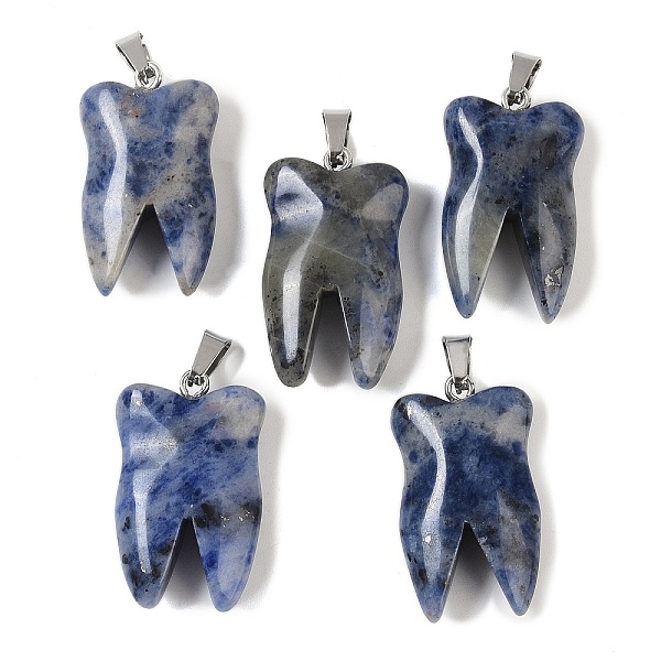 

PandaHall Natural Sodalite Pendants, with Stainless Steel Color Stainless Steel Findings, Tooth Charms, 39.5~40x19~19.5x8~8.5mm, Hole...